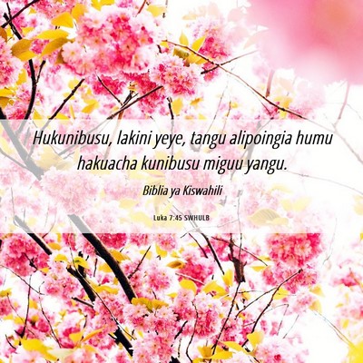 Picture 06 - Luka 7:45 SWHULB - Hukunibusu, lakini yeye, tangu alipoingia humu - Bible Verse Picture