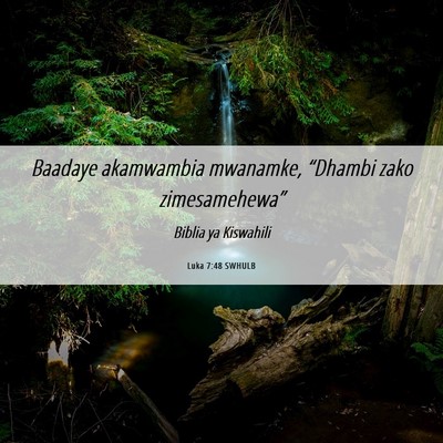 Picture 06 - Luka 7:48 SWHULB - Baadaye akamwambia mwanamke, “Dhambi zako - Bible Verse Picture