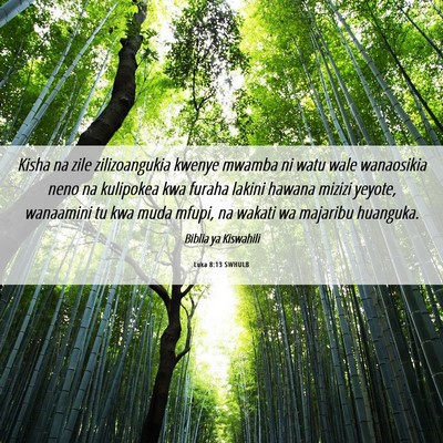 Picture 06 - Luka 8:13 SWHULB - Kisha na zile zilizoangukia kwenye mwamba ni watu - Bible Verse Picture