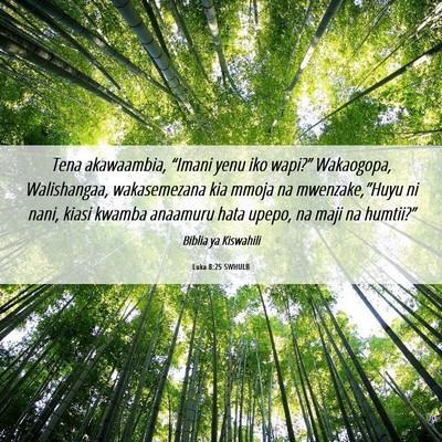Picture 06 - Luka 8:25 SWHULB - Tena akawaambia, “Imani yenu iko wapi?” - Bible Verse Picture