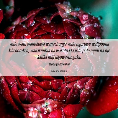 Picture 06 - Luka 8:34 SWHULB - wale watu waliokuwa wanachunga wale nguruwe - Bible Verse Picture