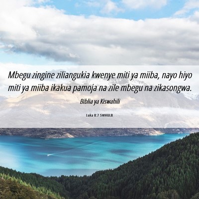 Picture 06 - Luka 8:7 SWHULB - Mbegu zingine ziliangukia kwenye miti ya miiba, - Bible Verse Picture