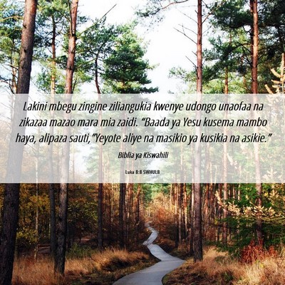 Picture 06 - Luka 8:8 SWHULB - Lakini mbegu zingine ziliangukia kwenye udongo - Bible Verse Picture