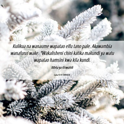 Picture 06 - Luka 9:14 SWHULB - Kulikua na wanaume wapatao elfu tano pale. - Bible Verse Picture