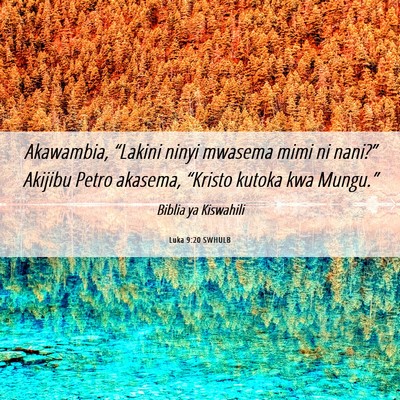 Picture 06 - Luka 9:20 SWHULB - Akawambia, “Lakini ninyi mwasema mimi ni - Bible Verse Picture
