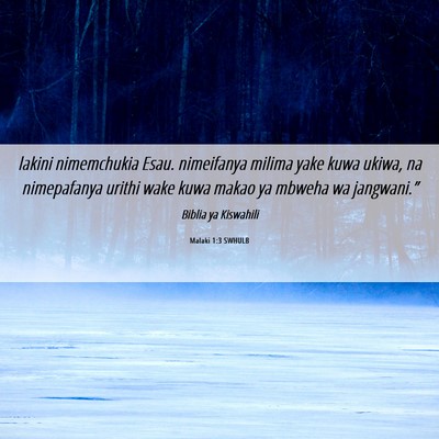 Picture 06 - Malaki 1:3 SWHULB - lakini nimemchukia Esau. nimeifanya milima yake - Bible Verse Picture