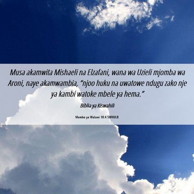 Picture 06 - Mambo ya Walawi 10:4 SWHULB - Musa akamwita Mishaeli na Elzafani, wana wa - Bible Verse Picture