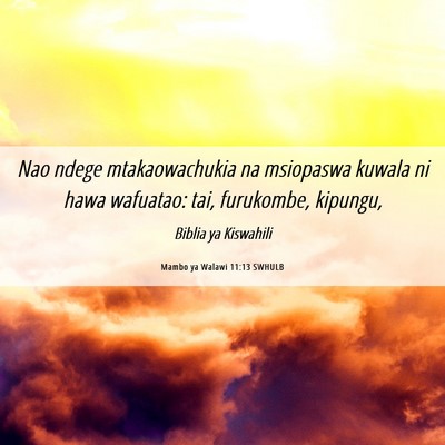Picture 06 - Mambo ya Walawi 11:13 SWHULB - Nao ndege mtakaowachukia na msiopaswa kuwala ni - Bible Verse Picture