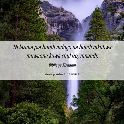 Picture 06 - Mambo ya Walawi 11:17 SWHULB - Ni lazima pia bundi mdogo na bundi mkubwa muwaone - Bible Verse Picture