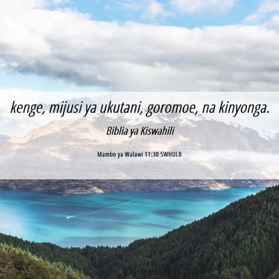 Picture 06 - Mambo ya Walawi 11:30 SWHULB - kenge, mijusi ya ukutani, goromoe, na - Bible Verse Picture