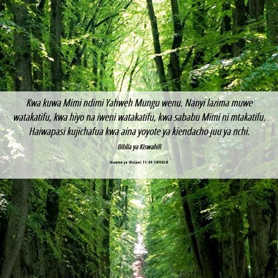 Picture 06 - Mambo ya Walawi 11:44 SWHULB - Kwa kuwa Mimi ndimi Yahweh Mungu wenu. Nanyi - Bible Verse Picture