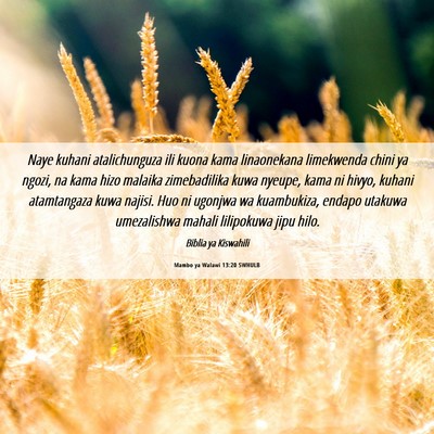 Picture 06 - Mambo ya Walawi 13:20 SWHULB - Naye kuhani atalichunguza ili kuona kama - Bible Verse Picture