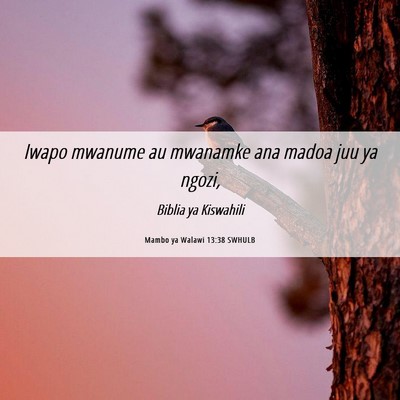 Picture 06 - Mambo ya Walawi 13:38 SWHULB - Iwapo mwanume au mwanamke ana madoa juu ya - Bible Verse Picture