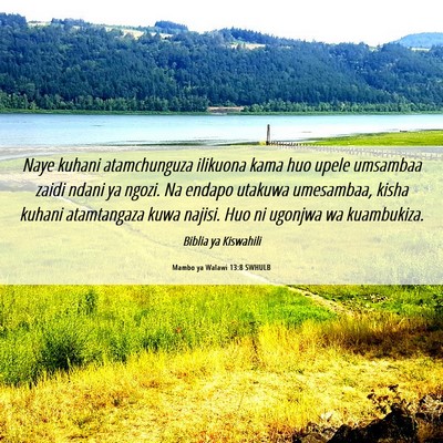 Picture 06 - Mambo ya Walawi 13:8 SWHULB - Naye kuhani atamchunguza ilikuona kama huo upele - Bible Verse Picture
