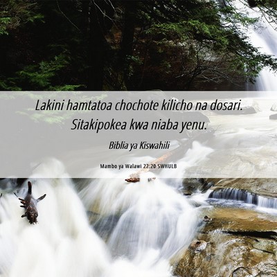 Picture 06 - Mambo ya Walawi 22:20 SWHULB - Lakini hamtatoa chochote kilicho na dosari. - Bible Verse Picture