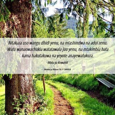 Picture 06 - Mambo ya Walawi 26:17 SWHULB - Nitakaza uso wangu dhidi yenu, na mtashindwa na - Bible Verse Picture