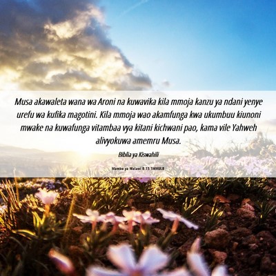 Picture 06 - Mambo ya Walawi 8:13 SWHULB - Musa akawaleta wana wa Aroni na kuwavika kila - Bible Verse Picture