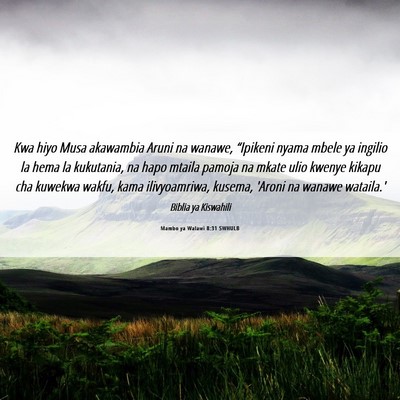 Picture 06 - Mambo ya Walawi 8:31 SWHULB - Kwa hiyo Musa akawambia Aruni na wanawe, - Bible Verse Picture