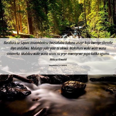Picture 06 - Maombolezo 1:4 SWHULB - Barabara za Sayuni zinaomboleza kwasababu hakuna - Bible Verse Picture