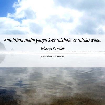 Picture 06 - Maombolezo 3:13 SWHULB - Ametoboa maini yangu kwa mishale ya mfuko - Bible Verse Picture