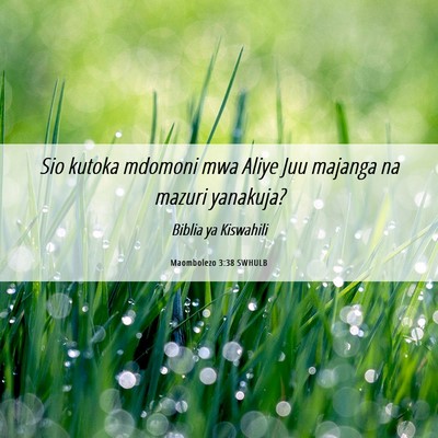 Picture 06 - Maombolezo 3:38 SWHULB - Sio kutoka mdomoni mwa Aliye Juu majanga na - Bible Verse Picture