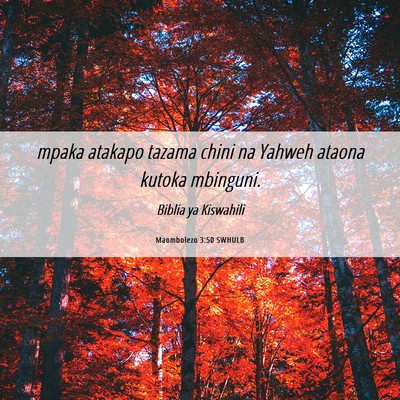 Picture 06 - Maombolezo 3:50 SWHULB - mpaka atakapo tazama chini na Yahweh ataona - Bible Verse Picture