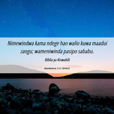 Picture 06 - Maombolezo 3:52 SWHULB - Nimewindwa kama ndege hao walio kuwa maadui - Bible Verse Picture
