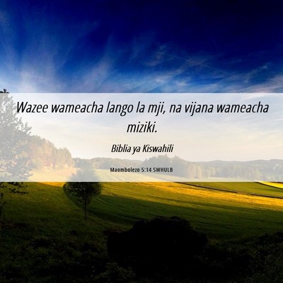 Picture 06 - Maombolezo 5:14 SWHULB - Wazee wameacha lango la mji, na vijana wameacha - Bible Verse Picture