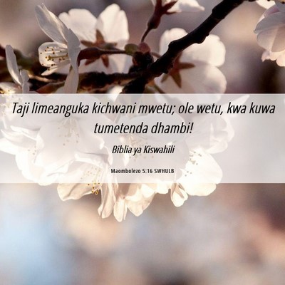 Picture 06 - Maombolezo 5:16 SWHULB - Taji limeanguka kichwani mwetu; ole wetu, kwa - Bible Verse Picture