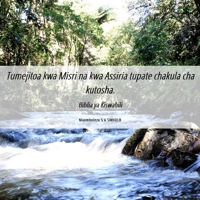 Picture 06 - Maombolezo 5:6 SWHULB - Tumejitoa kwa Misri na kwa Assiria tupate chakula - Bible Verse Picture