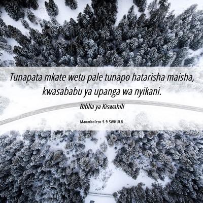 Picture 06 - Maombolezo 5:9 SWHULB - Tunapata mkate wetu pale tunapo hatarisha maisha, - Bible Verse Picture