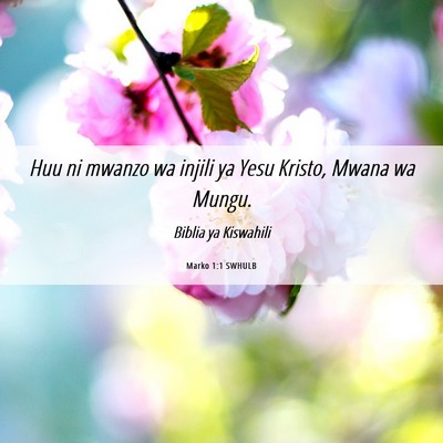 Picture 06 - Marko 1:1 SWHULB - Huu ni mwanzo wa injili ya Yesu Kristo, Mwana wa - Bible Verse Picture