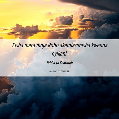 Picture 06 - Marko 1:12 SWHULB - Kisha mara moja Roho akamlazimisha kwenda - Bible Verse Picture