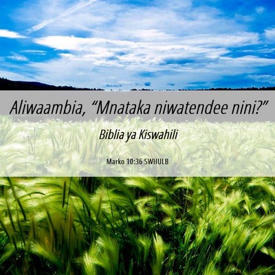 Picture 06 - Marko 10:36 SWHULB - Aliwaambia, “Mnataka niwatendee - Bible Verse Picture
