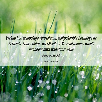 Picture 06 - Marko 11:1 SWHULB - Wakati huo walipokuja Yerusalemu, walipokaribia - Bible Verse Picture