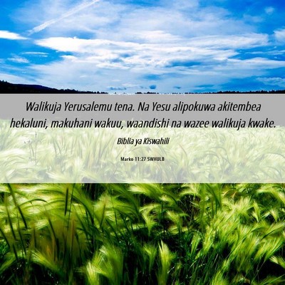 Picture 06 - Marko 11:27 SWHULB - Walikuja Yerusalemu tena. Na Yesu alipokuwa - Bible Verse Picture
