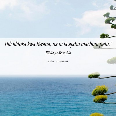 Picture 06 - Marko 12:11 SWHULB - Hili lilitoka kwa Bwana, na ni la ajabu machoni - Bible Verse Picture