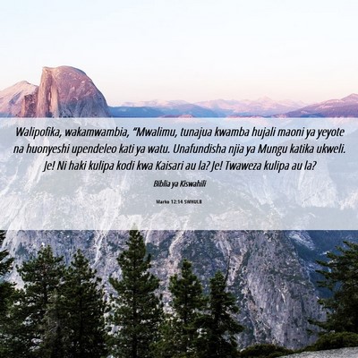 Picture 06 - Marko 12:14 SWHULB - Walipofika, wakamwambia, “Mwalimu, tunajua - Bible Verse Picture