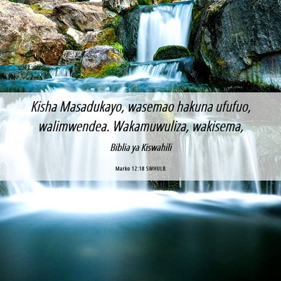 Picture 06 - Marko 12:18 SWHULB - Kisha Masadukayo, wasemao hakuna ufufuo, - Bible Verse Picture