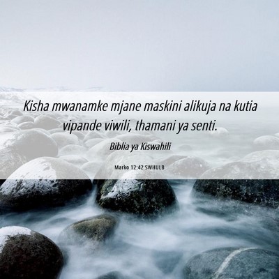 Picture 06 - Marko 12:42 SWHULB - Kisha mwanamke mjane maskini alikuja na kutia - Bible Verse Picture