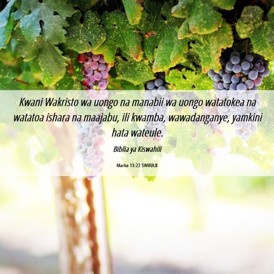 Picture 06 - Marko 13:22 SWHULB - Kwani Wakristo wa uongo na manabii wa uongo - Bible Verse Picture