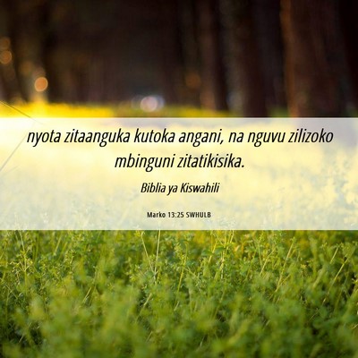 Picture 06 - Marko 13:25 SWHULB - nyota zitaanguka kutoka angani, na nguvu zilizoko - Bible Verse Picture