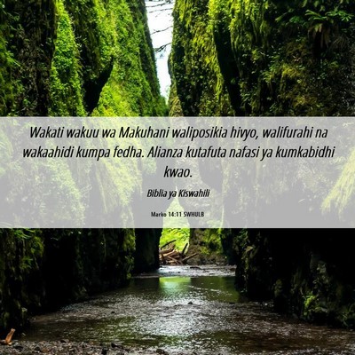 Picture 06 - Marko 14:11 SWHULB - Wakati wakuu wa Makuhani waliposikia hivyo, - Bible Verse Picture