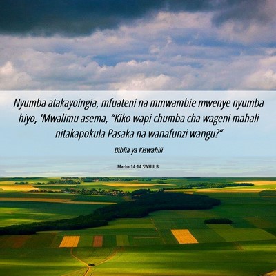 Picture 06 - Marko 14:14 SWHULB - Nyumba atakayoingia, mfuateni na mmwambie mwenye - Bible Verse Picture