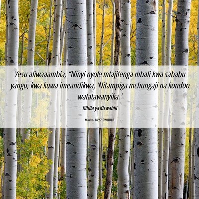 Picture 06 - Marko 14:27 SWHULB - Yesu aliwaaambia, “Ninyi nyote mtajitenga mbali - Bible Verse Picture