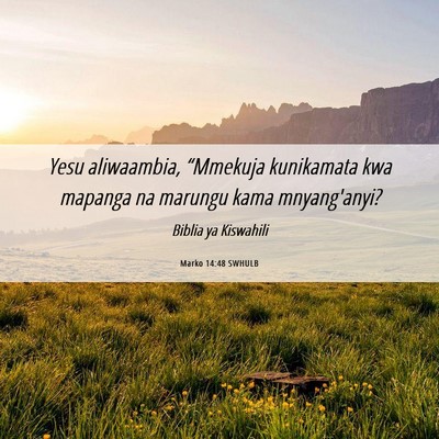 Picture 06 - Marko 14:48 SWHULB - Yesu aliwaambia, “Mmekuja kunikamata kwa - Bible Verse Picture