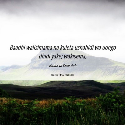 Picture 06 - Marko 14:57 SWHULB - Baadhi walisimama na kuleta ushahidi wa uongo - Bible Verse Picture
