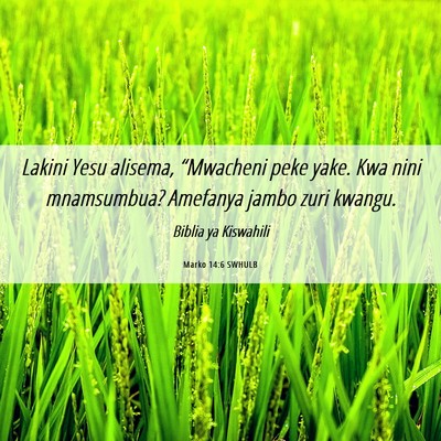 Picture 06 - Marko 14:6 SWHULB - Lakini Yesu alisema, “Mwacheni peke yake. Kwa - Bible Verse Picture