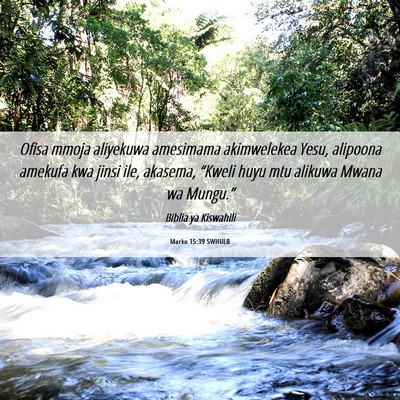 Picture 06 - Marko 15:39 SWHULB - Ofisa mmoja aliyekuwa amesimama akimwelekea Yesu, - Bible Verse Picture