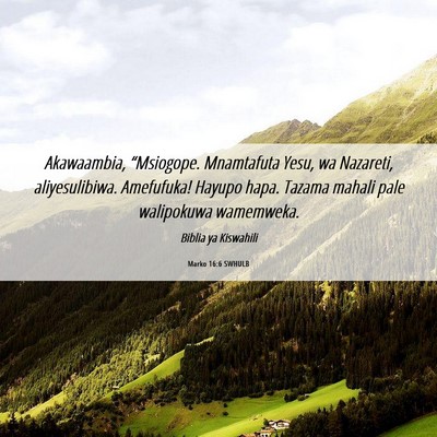 Picture 06 - Marko 16:6 SWHULB - Akawaambia, “Msiogope. Mnamtafuta Yesu, wa - Bible Verse Picture